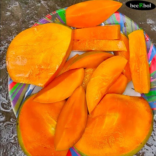 আশ্বিনা আম